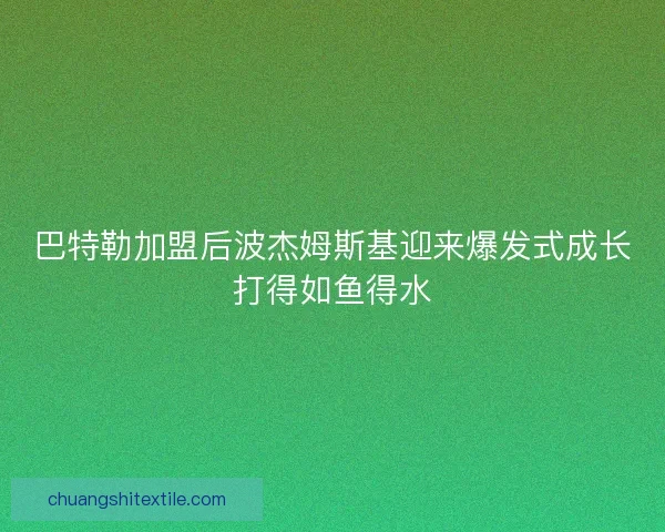 巴特勒加盟后波杰姆斯基迎来爆发式成长打得如鱼得水